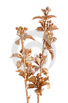 Golden Christmas decoration branches