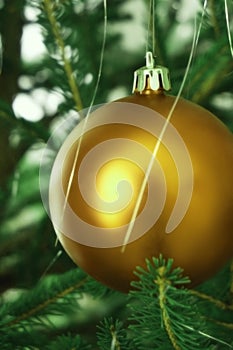 Golden Christmas tree ball