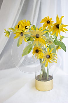 Golden chrysanthemum in a Golden Vase by the window