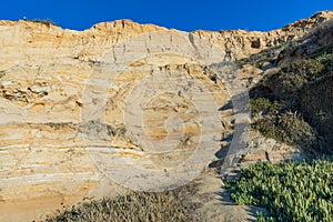Golden cliffs in California with visible geologic striations and desert plants