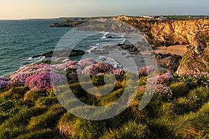 The golden cliffs at sunset in South Cornwall, England