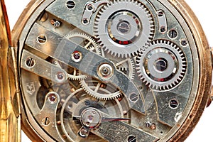 Golden Clockwork on white background. Detail of watch machinery. Old mechanical pocket watch. Macro shot.