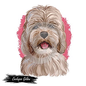 Golden Cockapoo dog digital art illustration of cute canine animal. Mixed-breed dog cross between American Cocker or English