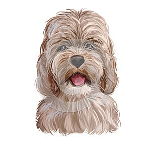 Der Hund kunst illustrationen aus Niedlich eckzahn das Tier. der Hund kreuzen zwischen amerikanisch verzogenes Gör oder englisch 
