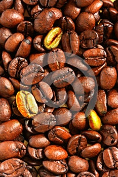 Golden coffee beans