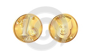 Golden coin one pig nose. Heads and tails for decoration and design. New year 2019 oink bank with the image piglet. Vector illustr