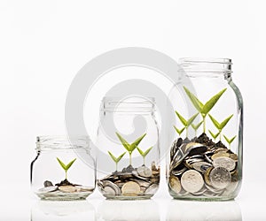 Golden coins and seed in clear jar over white background