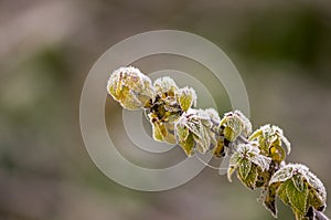 Farbe Herbst Blätter natur 