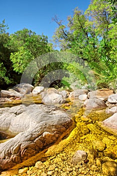 Golden-color mountain river