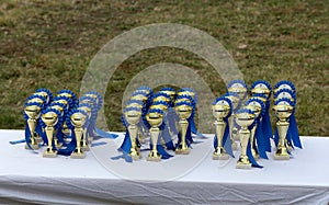 Golden colored trophies waiting for winners at an equestrian event summertime