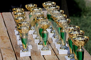Golden colored trophies waiting for winners at an equestrian event summertime
