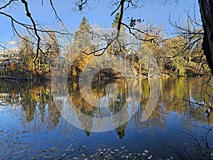 Golden colorful yellow oaange red river autumn fall tree leaves landscape sunny day Quebec Canada