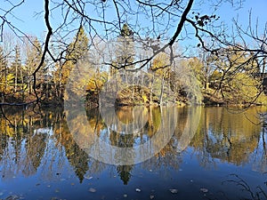 Golden colorful yellow orange red river autumn fall tree leaves landscape sunny day Quebec Canada