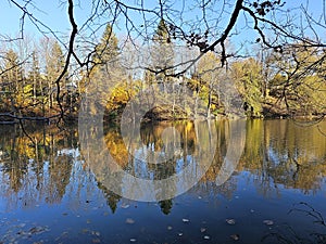 Golden colorful yellow orange red river autumn fall tree leaves landscape sunny day Quebec Canada