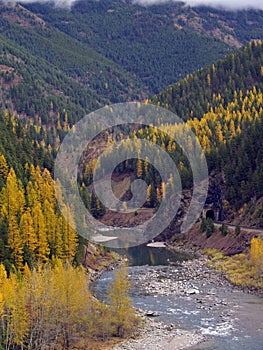 Golden Colors Along the Middle Fork