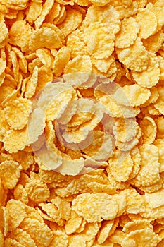 Golden cornflakes background and texture. View from above. cornflakes healthy breakfast. Close-up. macro