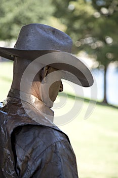 Golden cowboy profile