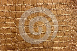 Golden Crocodile Skin Texture and pattern, closeup