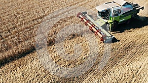 Golden crops field is being harvested by combines