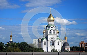 Golden cupolas of churches in Moscow
