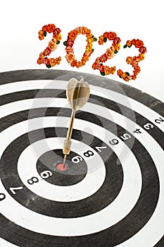 Golden dart in the middle of black and white concentric circles target, with 2023 number on top