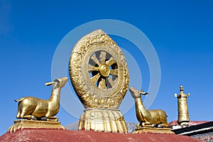 Golden Deer And Dharma Wheel in Tibet photo