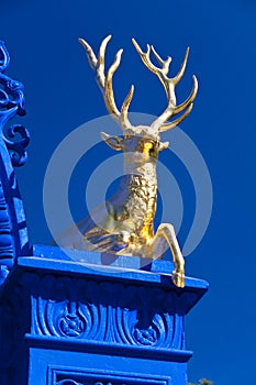 Golden Deer in the royal park Djurgarden,Stockholm photo