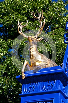 Golden Deer in the royal park Djurgarden,Stockholm
