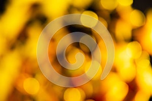 Golden defocused christmas lights. Abstract bokeh background. Party, holiday and festive concept.