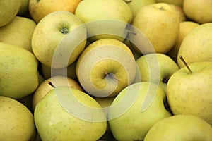 Golden Delicious Apples