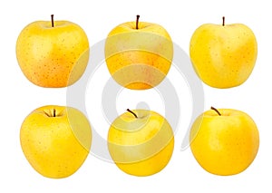 Golden delicious apples