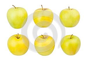 golden delicious apples