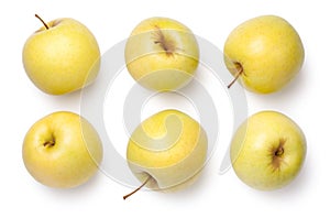 Golden Delicious Apples Isolated on White Background