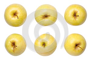 Golden Delicious Apples Isolated on White Background