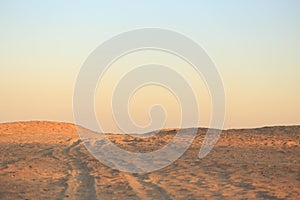 Golden desert sand at sunset. Gradient on the horizon