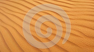 Golden  desert sand texture as background.