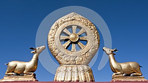 Golden Dharma Wheel photo