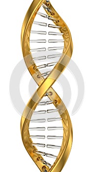 Golden DNA Double Helix on White Background