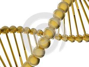 Golden DNA helices photo