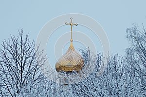 Golden dome of the church on the background of winter trees and overcast sky