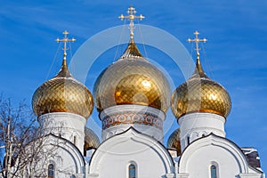 Golden domes of the Cathedral of the Assumption of Our Lady, Yaroslavl, Russia