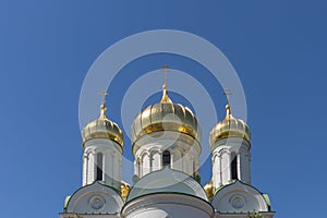 The golden domes of Catherine\'s Cathedral, Russian Orthodox Cathedral at bright blue sky background