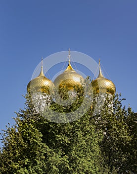 The golden domes of the church rise above the tops of the green trees