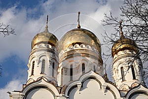 Golden domes. Russia.