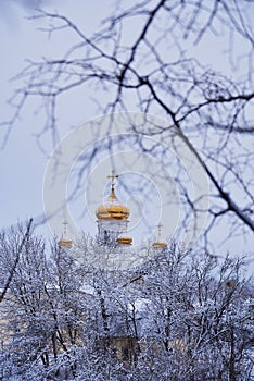 The Golden domes of the white Church against the overcast sky are photographed through the branches of trees