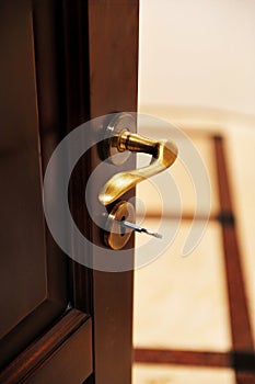 Golden door handle