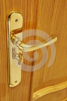 Golden door knob detail on an oak wooden door