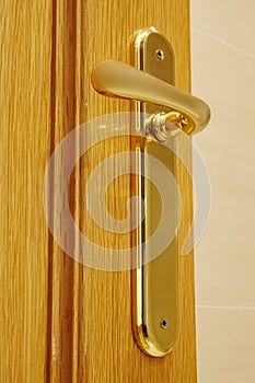 Golden door knob detail on an oak wooden door