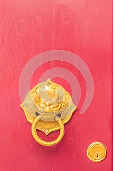 Golden door knocker in the shape of lion with ring on a red wood