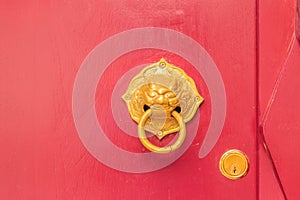 Golden door knocker in the shape of lion with ring on a red wood